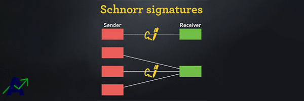 schnorr signature